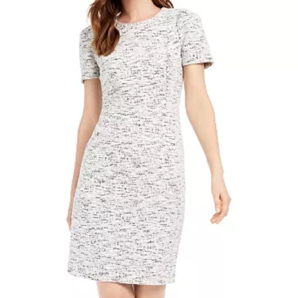 Calvin Klein White and Gray Mini Dress